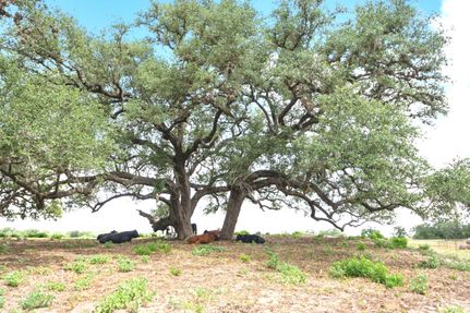 Farm and Ranch in Wilson County, Texas
