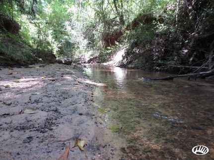 Recreational Property in Covington County, Mississippi