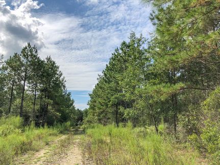Recreational Property in Tyler County, Texas