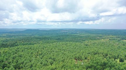 Undeveloped Land in Cass County, Texas