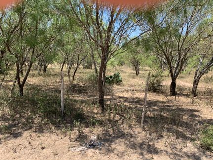Farm and Ranch in Uvalde County, Texas