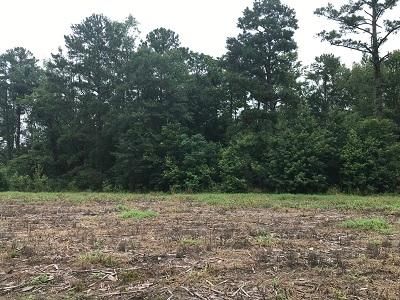 Undeveloped Land in Orangeburg County, South Carolina
