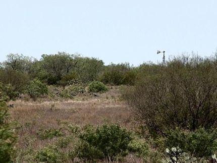 Hunting Property in Duval County, Texas