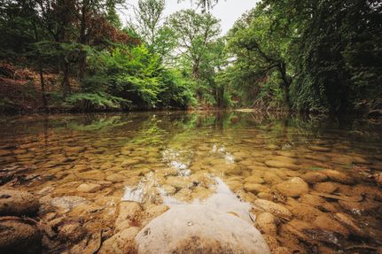 Timberland Property in Uvalde County, Texas