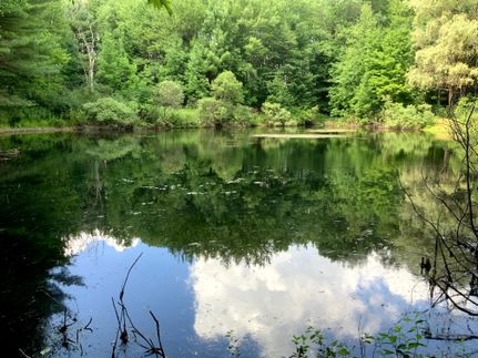 Farm and Ranch in Chenango County, New York