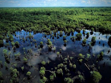 Riverfront Property in Marion County, South Carolina