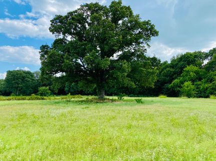 Land in Rains County, Texas