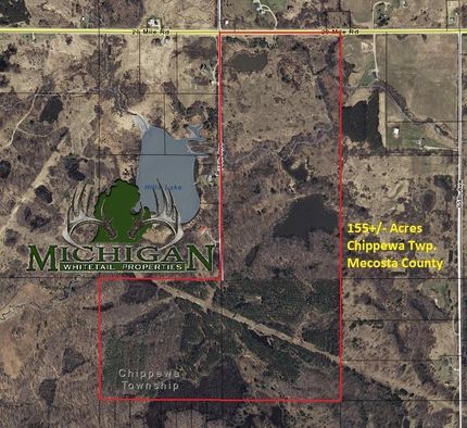 Land in Mecosta County, Michigan