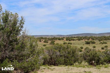Farm and Ranch in Apache County, Arizona