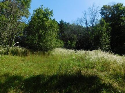 Recreational Property in Trempealeau County, Wisconsin