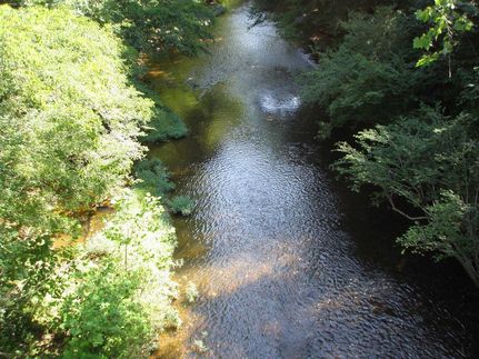 Land in Buckingham County, Virginia