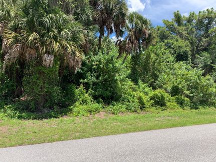 Undeveloped Land in Charlotte County, Florida