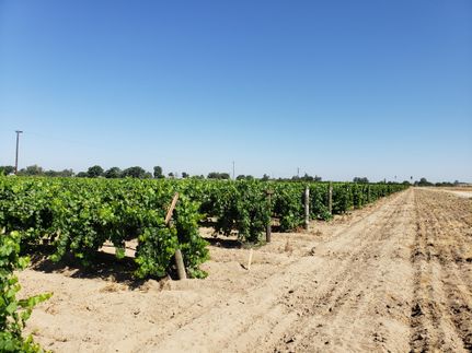 Farm and Ranch in Fresno County, California