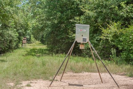 Undeveloped Land in Leon County, Texas