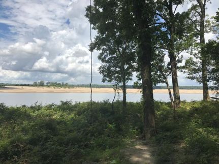 Timberland Property in Washington County, Mississippi