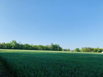 Land in Marlboro County, South Carolina
