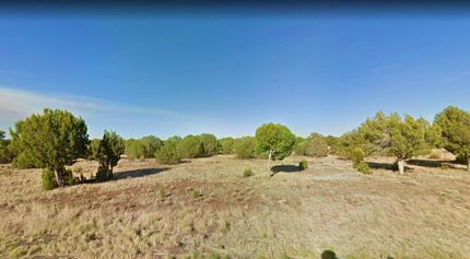 Undeveloped Land in Navajo County, Arizona