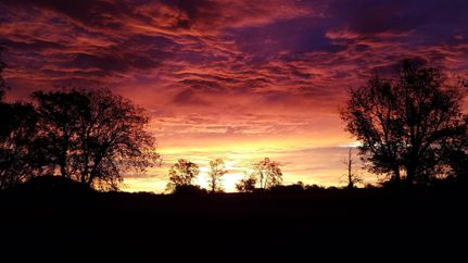 Lakefront Property in Becker County, Minnesota