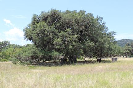 Recreational Property in Bandera County, Texas