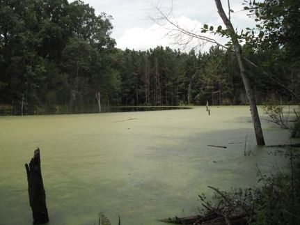 Land in York County, South Carolina