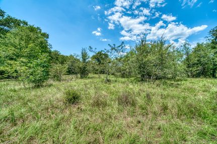 Timberland Property in Madison County, Texas