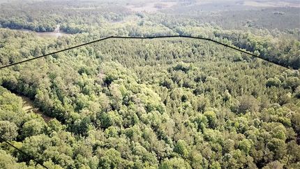 Hunting Property in Wilcox County, Alabama