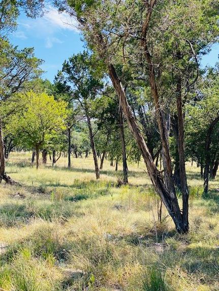 Undeveloped Land in Gillespie County, Texas