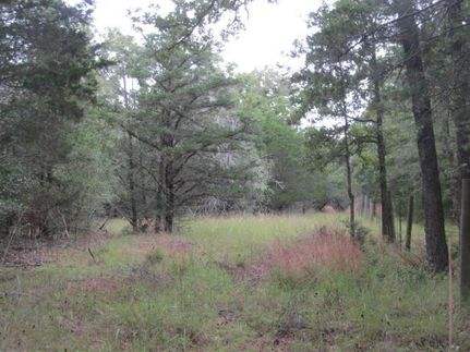 Undeveloped Land in Fayette County, Texas