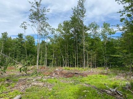 Land in Oxford County, Maine