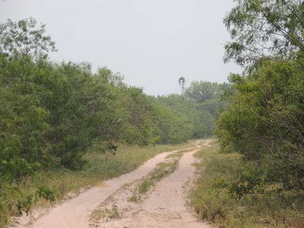 Land in Duval County, Texas