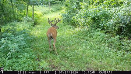 Land in Trempealeau County, Wisconsin