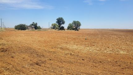 Undeveloped Land in Knox County, Texas