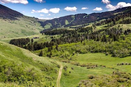 Timberland Property in Park County, Montana