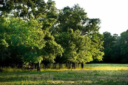 Farm and Ranch in Henderson County, Texas