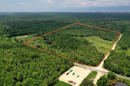 Timberland Property in Levy County, Florida