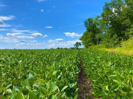 Land in Outagamie County, Wisconsin
