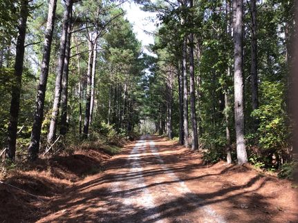 Land in Perry County, Tennessee