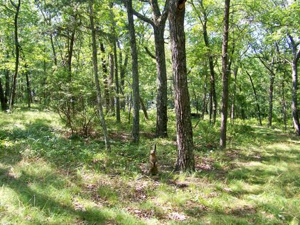 Recreational Property in DeKalb County, Alabama