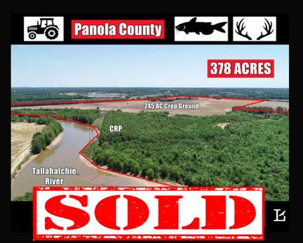 Timberland Property in Panola County, Mississippi