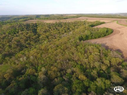 Land in Buffalo County, Wisconsin