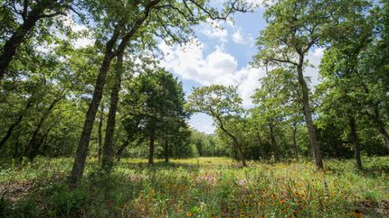 Farm and Ranch in Milam County, Texas
