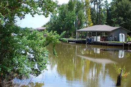 Timberland Property in Trinity County, Texas