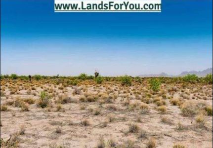 Undeveloped Land in Luna County, New Mexico