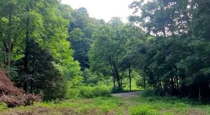 Farm and Ranch in Clay County, Tennessee