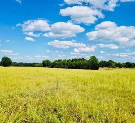 Land in Rains County, Texas