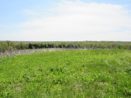 Recreational Property in Davis County, Iowa