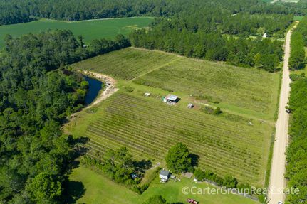 Farm and Ranch in Berrien County, Georgia
