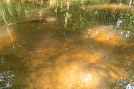Recreational Property in Newton County, Texas