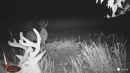 Timberland Property in Greenwood County, Kansas