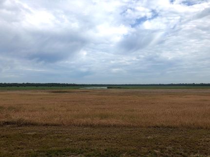 Farm and Ranch in Catahoula Parish, Louisiana